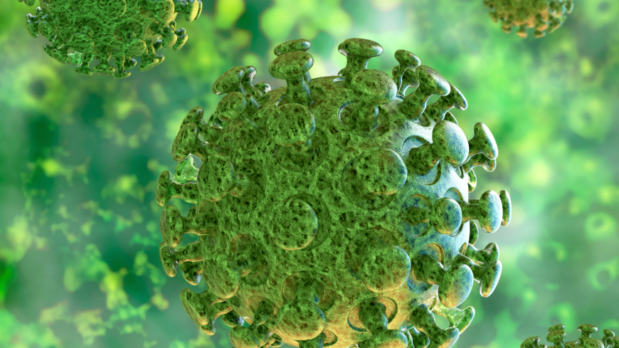 Koronavirus ei ole vain yksi virus vaan suuri joukko viruksia, joiden muutamat muodot, kuten SARS ja MERS ja 2019-nCoV (COVID-19), siirtyvät myös eläinten ja ihmisten välillä.